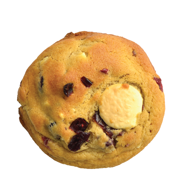Cranberry and White Chocolate